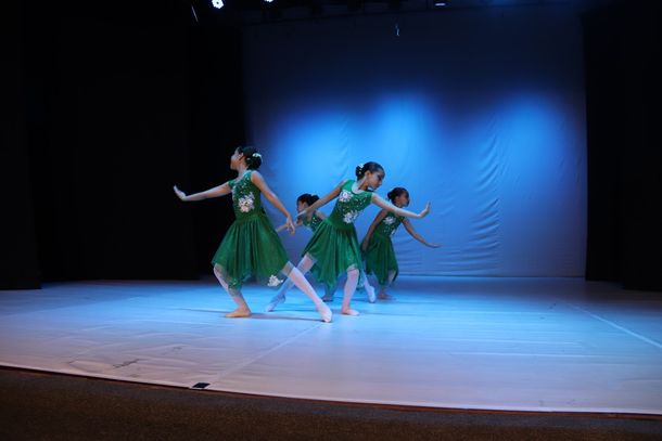 Festival de Dan&ccedil;a re&uacute;ne mais de 100 bailarinos em Mogi Mirim