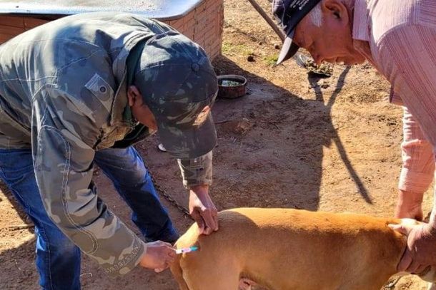 Vacina&ccedil;&atilde;o de c&atilde;es na zona rural de Passos