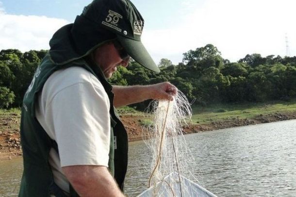 Mesmo com o fim da Piracema, esp&eacute;cies presentes no Rio Paran&aacute;, como a Piracanjuba e o Dourado, que est&atilde;o em risco de extin&ccedil;&atilde;o, n&atilde;o podem ser capturadas.