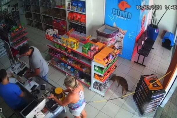Momento em que o cachorro pega o petisco.