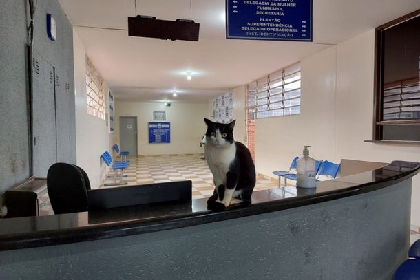 Magrelo circulava livremente pelos setores da delegacia.