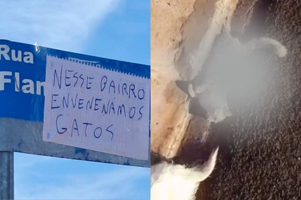 Placas com amea&ccedil;as contra gatos foram encontradas em Mandagua&ccedil;u; moradores cobriram os avisos e pedem investiga&ccedil;&atilde;o.