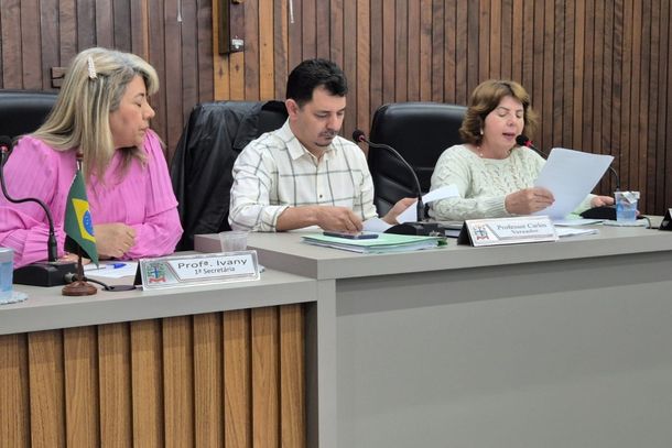 Comiss&atilde;o de Educa&ccedil;&atilde;o da C&acirc;mara de Paranava&iacute; aprova tr&ecirc;s projetos voltados &agrave; inclus&atilde;o escolar e apoio a fam&iacute;lias em situa&ccedil;&atilde;o de vulnerabilidade.