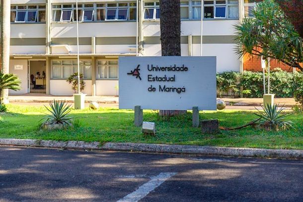 UEM lidera produ&ccedil;&atilde;o de pesquisa na regi&atilde;o Sul, diz ranking internacional