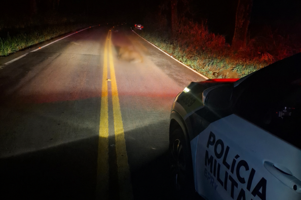 Motorista fica ferido ap&oacute;s atropelar dois cavalos na PR-498
