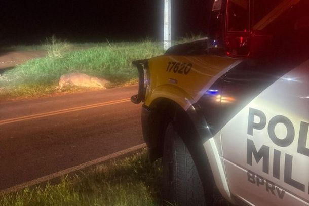 Motorista morre ap&oacute;s carro atingir animal na PR-555 em Nova Esperan&ccedil;a
