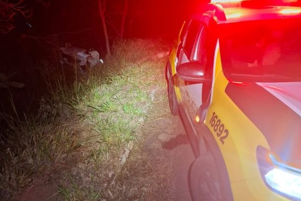  Motorista perde controle, bate em &aacute;rvore e capota na PR-557 em Terra Rica