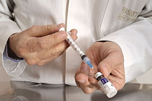 A amplia&ccedil;&atilde;o da campanha permitir&aacute; que mais pessoas se protejam contra as complica&ccedil;&otilde;es causadas pelo v&iacute;rus influenza.