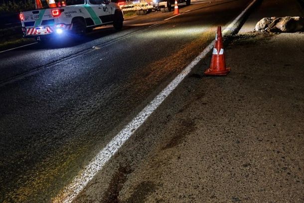 De acordo com as informa&ccedil;&otilde;es, o animal estava sobre a faixa de rolamento quando foi atingido por um primeiro ve&iacute;culo. Na sequ&ecirc;ncia, um segundo autom&oacute;vel tamb&eacute;m acabou atropelando o cavalo.