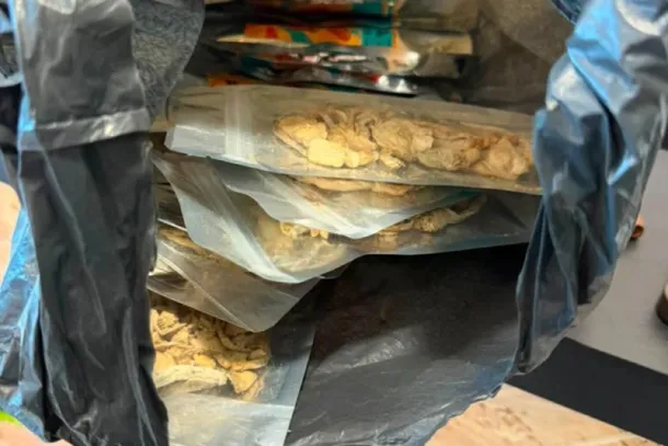 A&ccedil;&atilde;o mobiliza 50 policiais e cumpre mandados em cinco cidades; cogumelos alucin&oacute;genos foram encontrados em uma tabacaria.