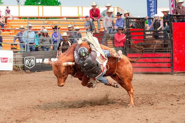Evento ser&aacute; realizado at&eacute; domingo (27), no Parque de Rodeios Dois Irm&atilde;os, com entrada gratuita.