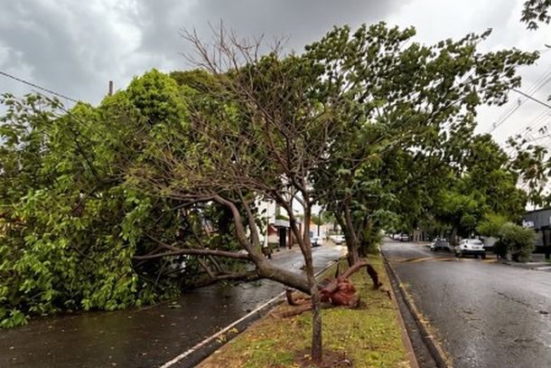Na tarde de ter&ccedil;a-feira (29), a chuva e os ventos voltaram a preocupar moradores em diferentes pontos da cidade. Nesta quarta-feira, o munic&iacute;pio amanheceu novamente com chuva.