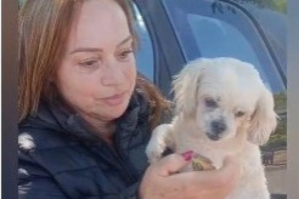 Segundo a GCM, a situa&ccedil;&atilde;o chegou a afetar a rotina da mulher, que relatava dificuldades para dormir e trabalhar enquanto procurava pelo animal.
