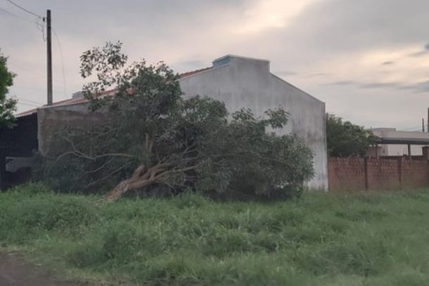  Chuva forte acompanhada de ventos atingiu a cidade na noite desta segunda-feira (28); moradores tamb&eacute;m relataram problemas no abastecimento de &aacute;gua.
