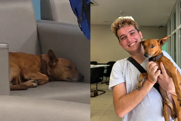 Ap&oacute;s a morte do antigo dono, animal foi adotado por estudante de Biologia da UEM e recebeu o nome de Yoyo.