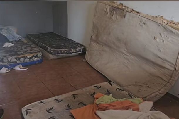  Grupo, que inclu&iacute;a dois adolescentes de 15 e 16 anos, trabalhava na colheita de mandioca na zona rural do munic&iacute;pio.