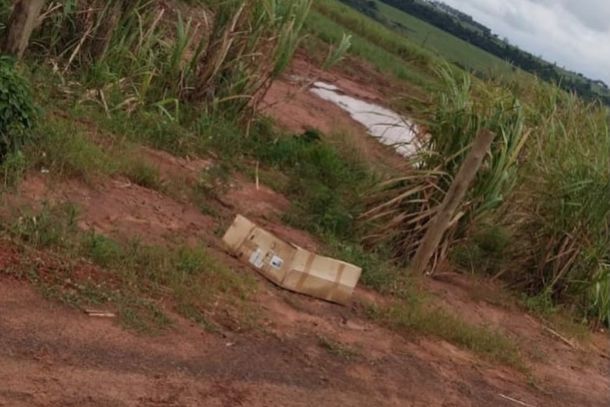 Animais foram encontrados em uma estrada de terra e est&atilde;o sob cuidados da Sociedade Protetora dos Animais de Paranava&iacute;, que busca informa&ccedil;&otilde;es e novos lares.