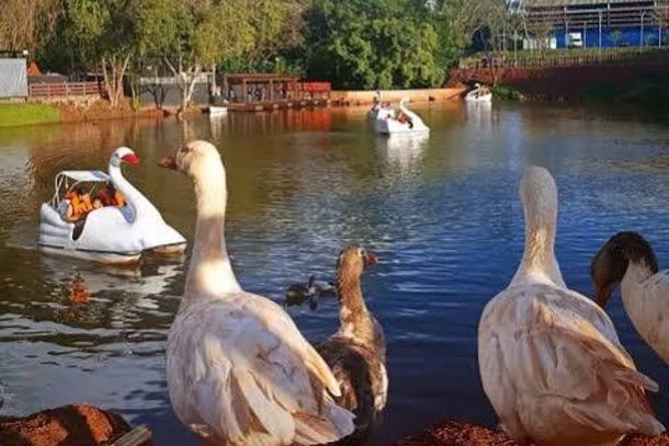 Parque Ouro Branco