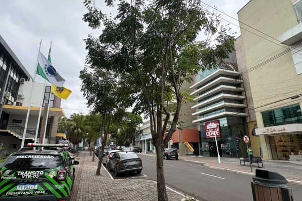 Solicita&ccedil;&atilde;o de corte deve ser feita pelo propriet&aacute;rio do im&oacute;vel, e retirada depende de avalia&ccedil;&atilde;o t&eacute;cnica da Secretaria de Meio Ambiente.