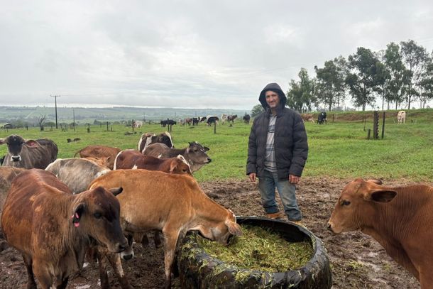 &ldquo;Vaca n&atilde;o d&aacute; leite&rdquo;: pequeno pecuarista conta os desafios da atividade