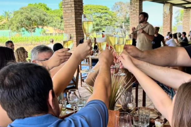 Tour harmonizado na Vin&iacute;cola Ferracini combina passeio e degusta&ccedil;&otilde;es