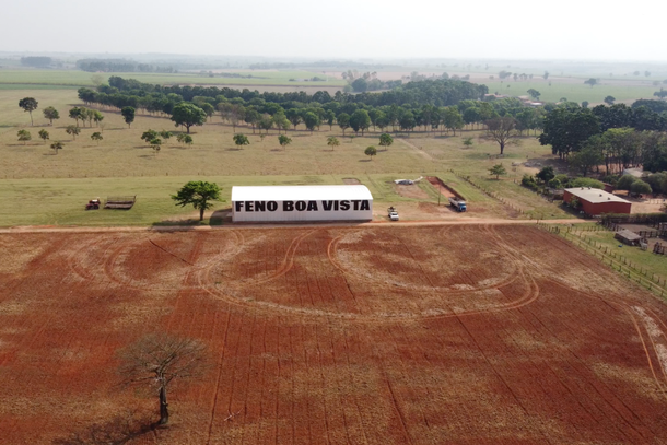 Feno Boa Vista 