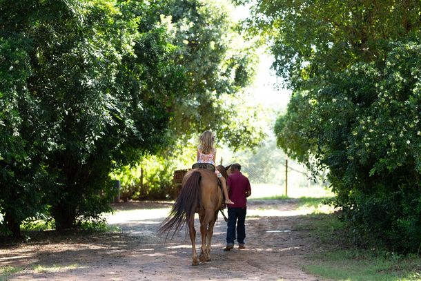 Iniciativa &eacute; voltada a produtores e empres&aacute;rios do turismo rural.
