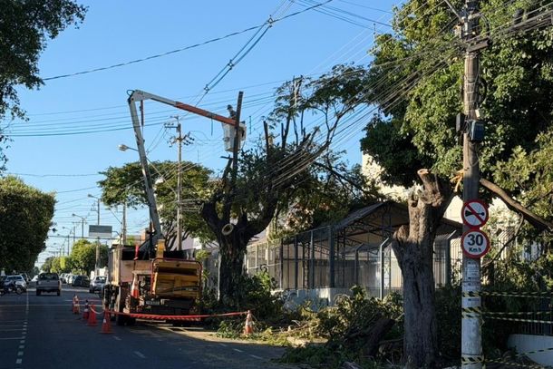Os servi&ccedil;os contemplaram desde &aacute;reas centrais da cidade at&eacute; a zona rural do munic&iacute;pio 