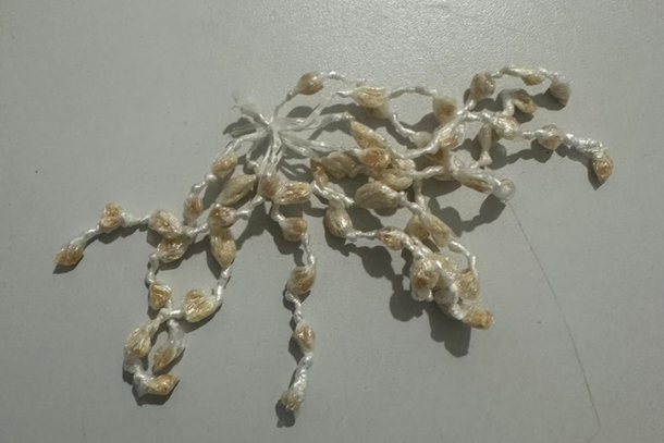 Material apreendido pela Pol&iacute;cia