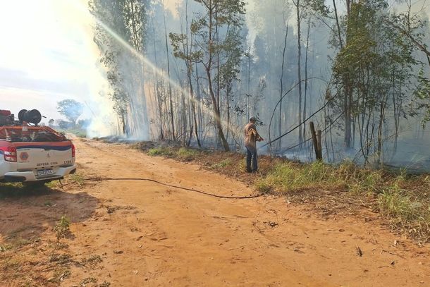 Inc&ecirc;ndio nesta quinta afetou &aacute;rea de pastagem e mata pr&oacute;xima ao bairro S&iacute;lvia Covas