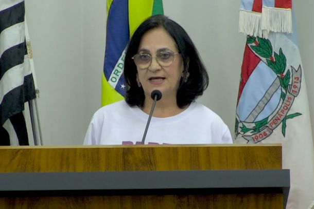Vereadora Professora Jandin&eacute;ia