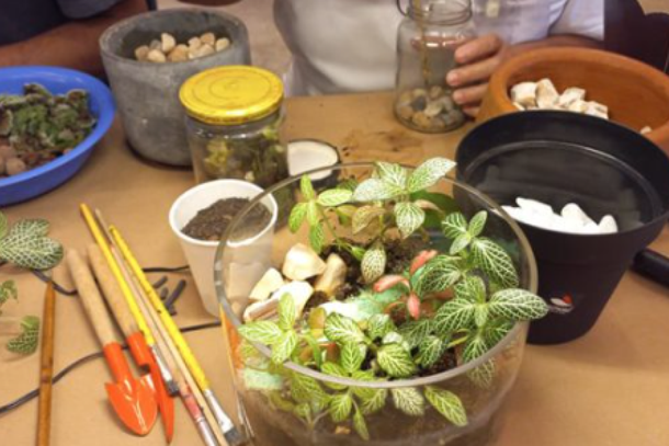 Manuten&ccedil;&atilde;o de terr&aacute;rios