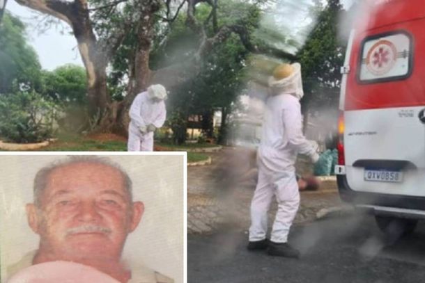 Colmeia caiu de &aacute;rvore no bairro Aparecida e oito pessoas, entre transeuntes, bombeiros e pessoal do Samu foram picadas 