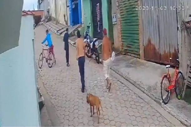 C&acirc;meras mostram o momento em que dois homens levam o animal ao local do sacrif&iacute;cio 