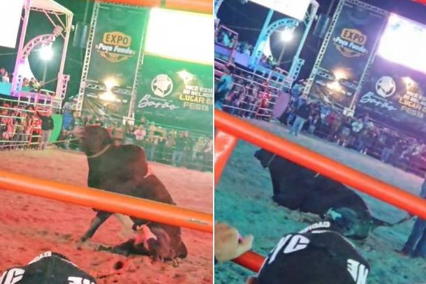 Durante uma apresenta&ccedil;&atilde;o de montaria, o animal teria quebrado uma pata traseira ou o pr&oacute;prio quadril 
