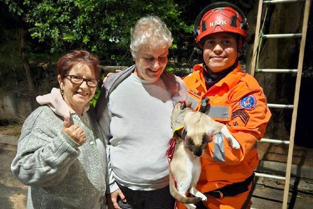 As tutoras, duas senhoras aflitas posicionadas ao redor do tronco da &aacute;rvore, chamavam pelo pet