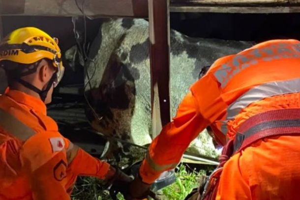 Bombeiros trabalharam durante toda a noite em atendimento &agrave; ocorr&ecirc;ncia do tombamento da carreta boiadeira 