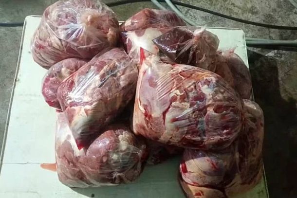 Diversos sacos contendo carne de animais recentemente abatidos estavam numa caminhonete interceptada 