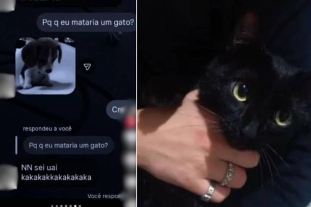 Animais teriam sido mortos com requintes de crueldade