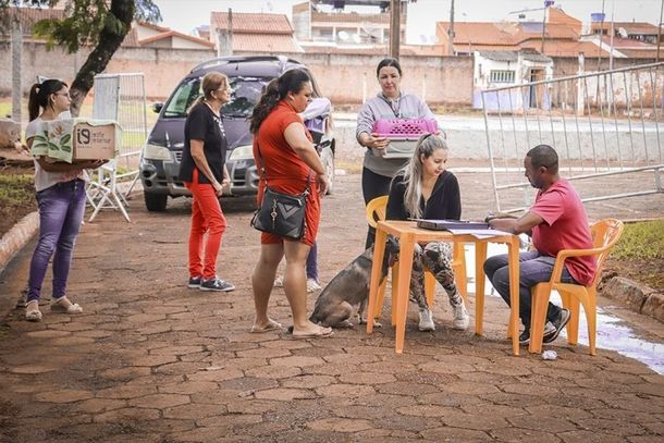A vacina&ccedil;&atilde;o &eacute; gratuita e destinada a c&atilde;es e gatos 