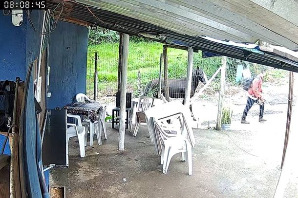 A &eacute;gua foi retirada do pasto na manh&atilde; deste domingo