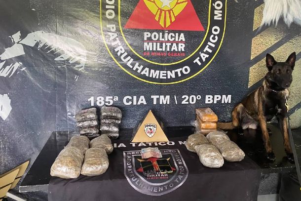 Foram apreendidas 19 embalagens contendo skunk, uma variedade de cannabis com alta concentra&ccedil;&atilde;o de subst&acirc;ncias psicoativas