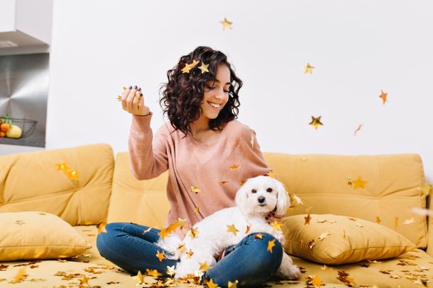 A chegada do final do ano exige aten&ccedil;&atilde;o especial dos tutores de pets