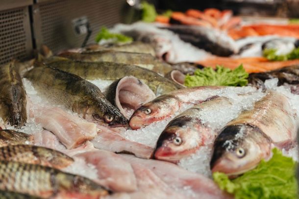 Especialista destaca o valor nutricional do consumo de peixes