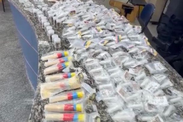Bolsa com drogas foi apreendida na a&ccedil;&atilde;o em Penedo