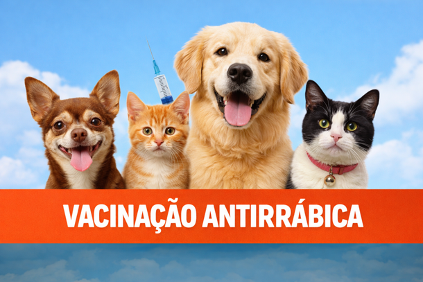 Imagem ilustrativa