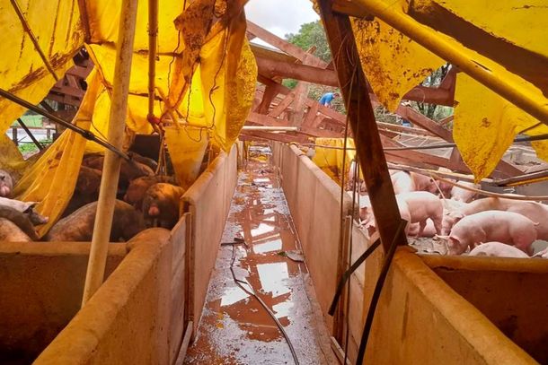 Chiqueir&atilde;o &eacute; destru&iacute;do por temporal no interior; preju&iacute;zo &eacute; estimado em R$ 1,5 milh&atilde;o
