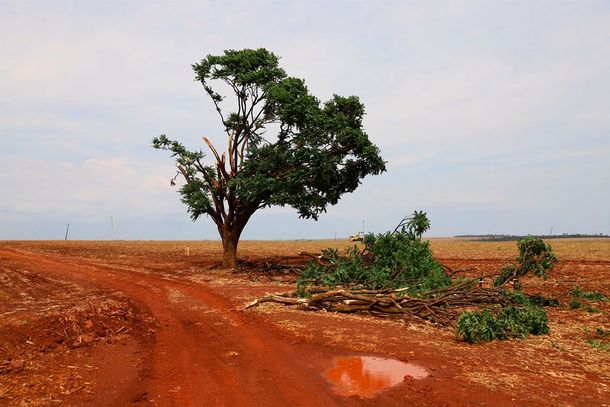 Temporal provoca danos em estruturas, im&oacute;veis e rede el&eacute;trica em Assis Chateaubriand