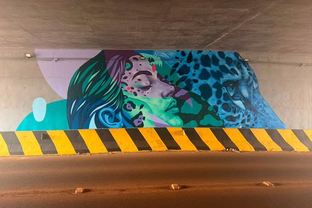 Arte urbana destaca on&ccedil;a-pintada e refor&ccedil;a identidade ambiental de Matel&acirc;ndia