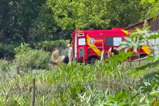 Idoso &eacute; atacado por enxame de abelhas e sofre cerca de 200 picadas 